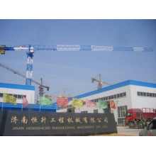 Crane Installation Offered by Hstowercrane